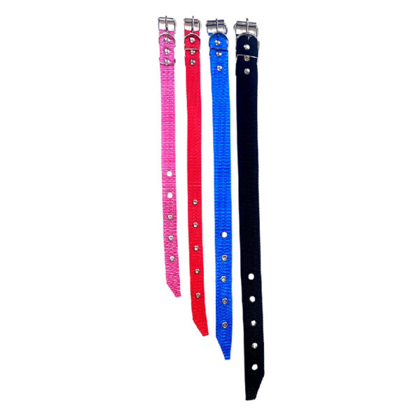 COLEIRA NYLON SIMPLES