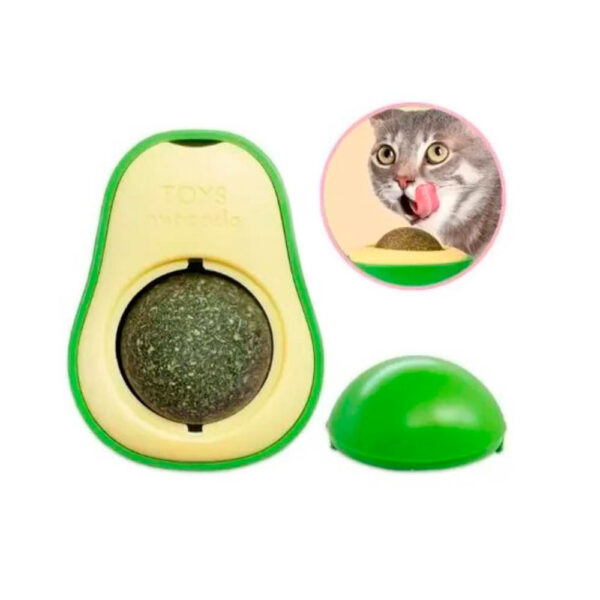 ABACATE COM CATNIP